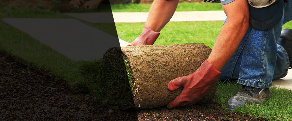 New Hampton Landscapers